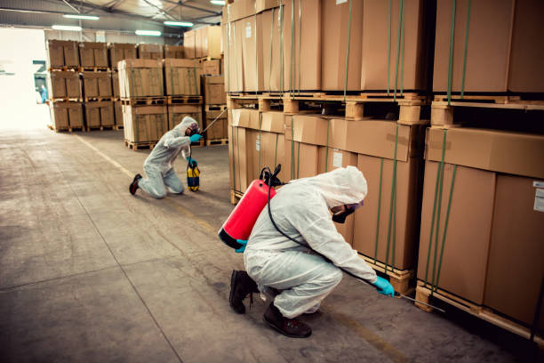 Best Pest Control Near Me  in Shoshone, ID