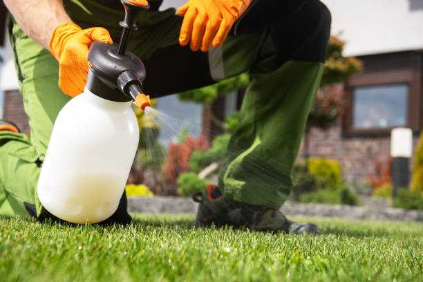 Trusted Shoshone, ID Pest Control Experts