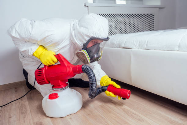 Best Wasp Removal Services  in Shoshone, ID