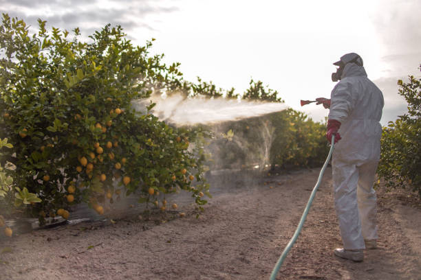 Best Cockroach Control Services  in Shoshone, ID