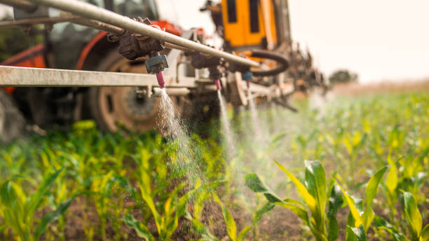 Best Pest Inspection Near Me  in Shoshone, ID